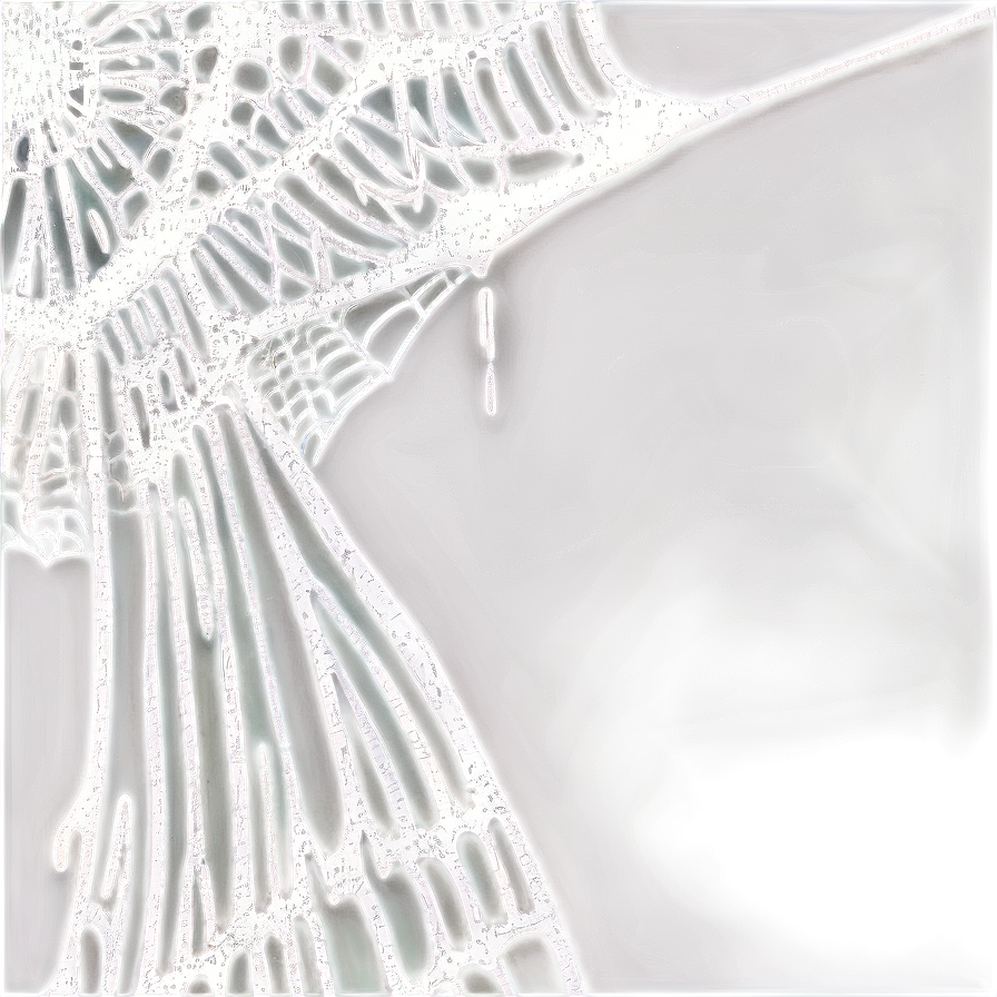 Abstract Spiderweb Inversion Art
