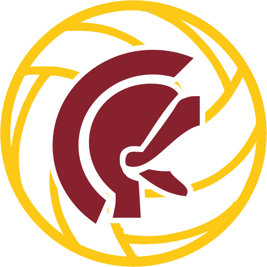 Abstract Volleyball Team Logo