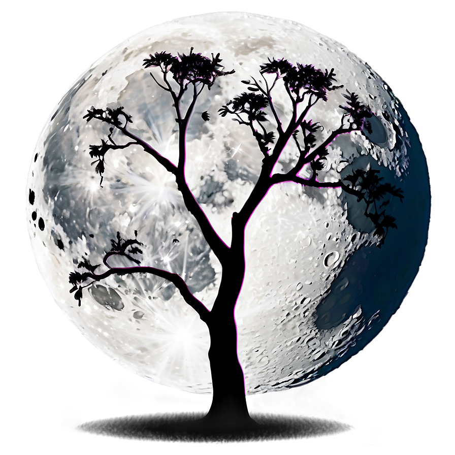 Acacia Tree Full Moon Night Png 3