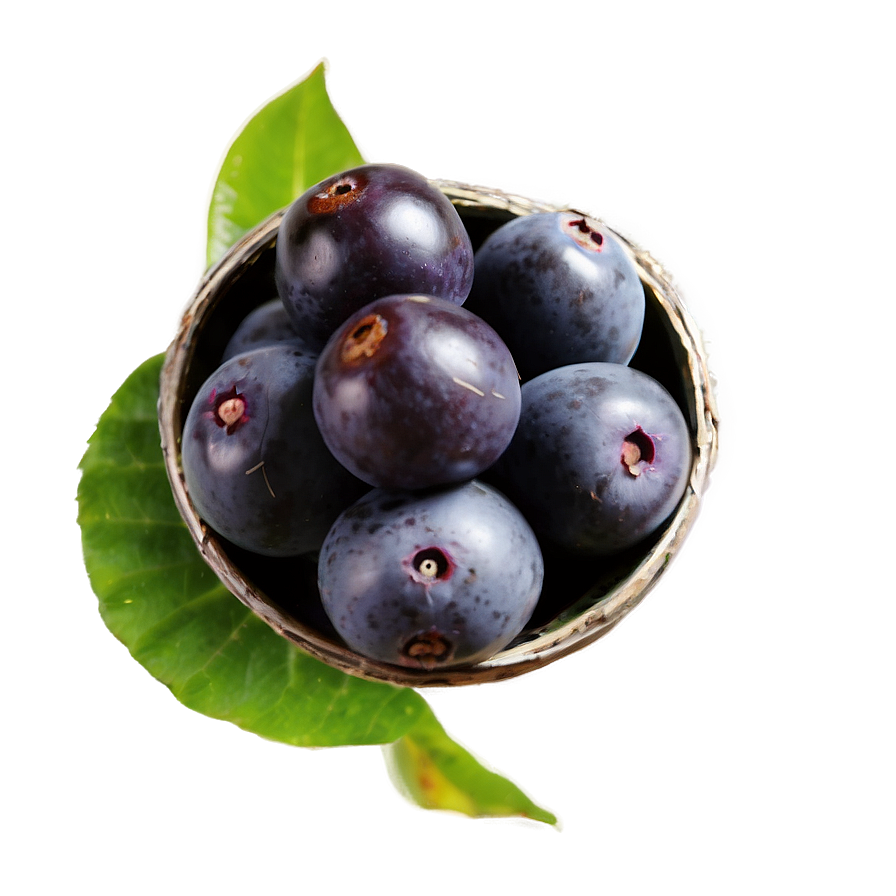 Acai Berry Antioxidants Png Jvl1