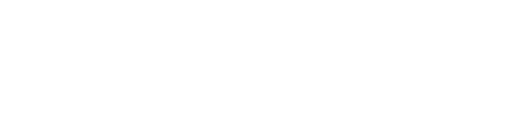 Accenture Company Logo