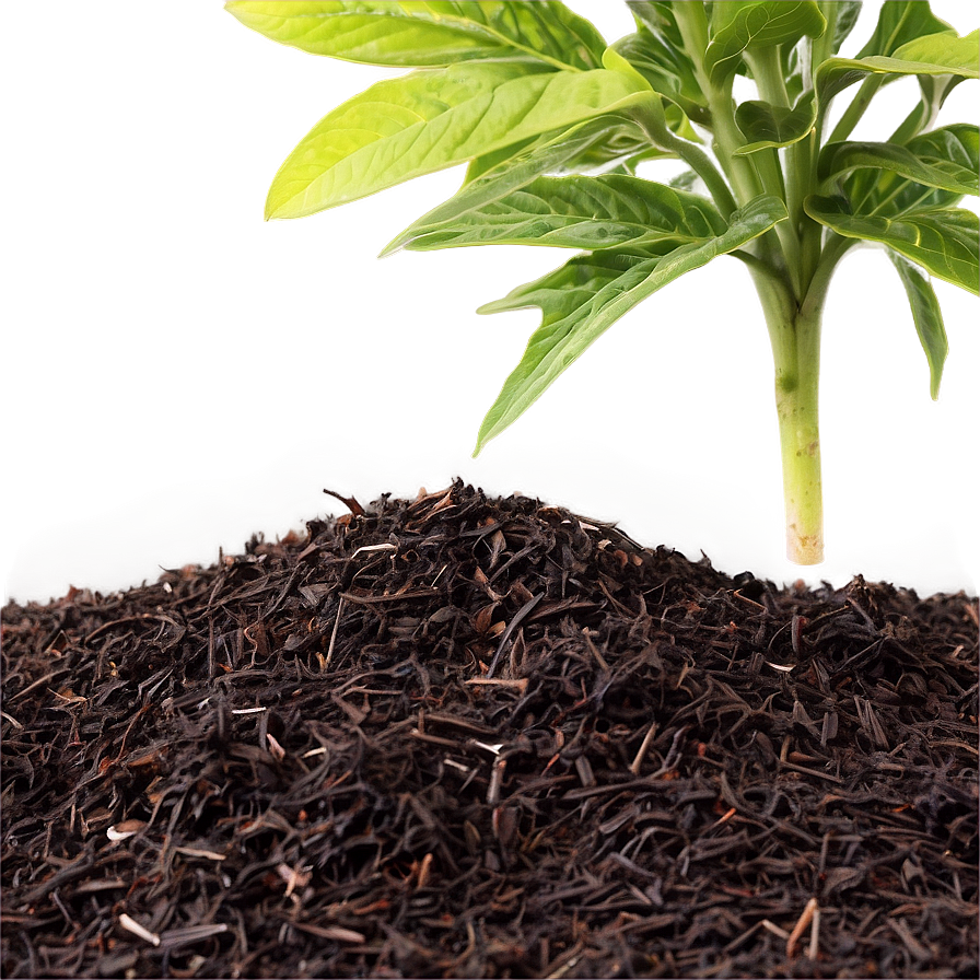 Acid Loving Plants Mulch Png Drd