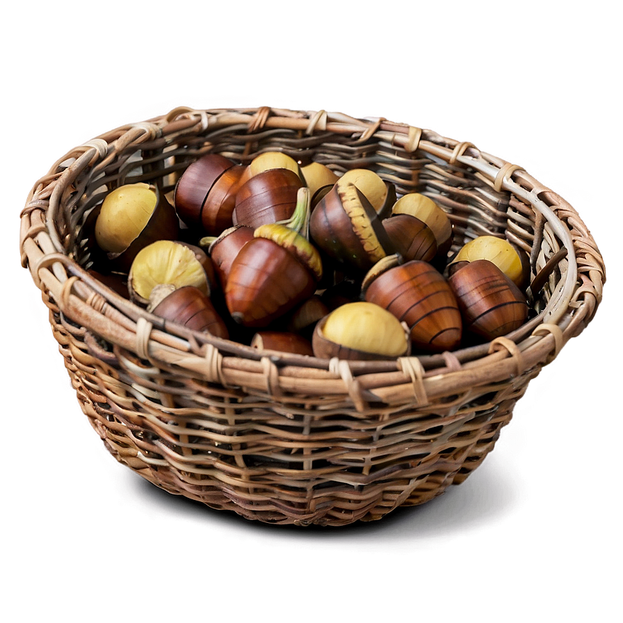 Acorn In Basket Png 65