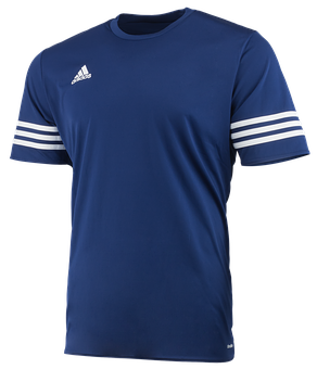 Adidas Blue Sports T Shirt