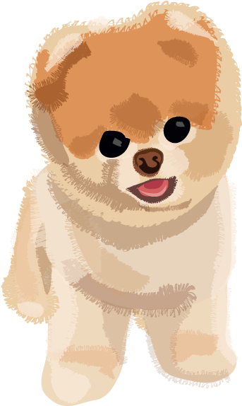 Adorable Pomeranian Illustration