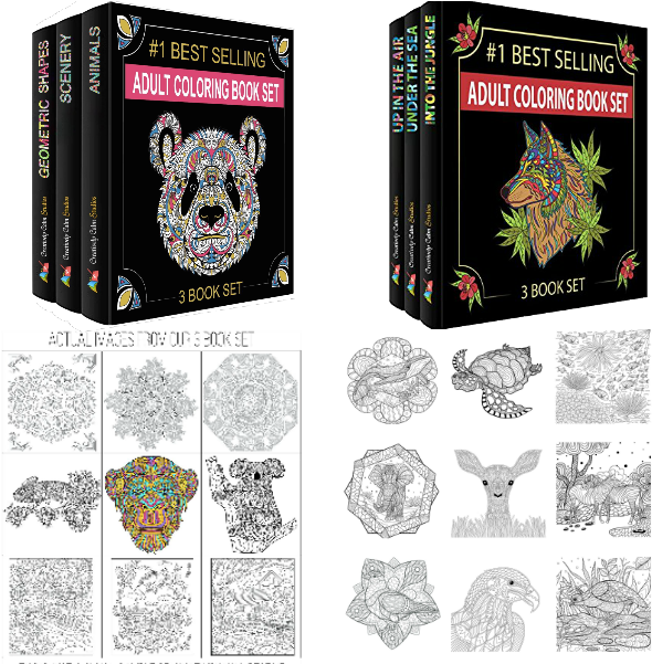 Adult Coloring Book Set Showcase