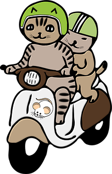 Adventure Catson Motorcycle