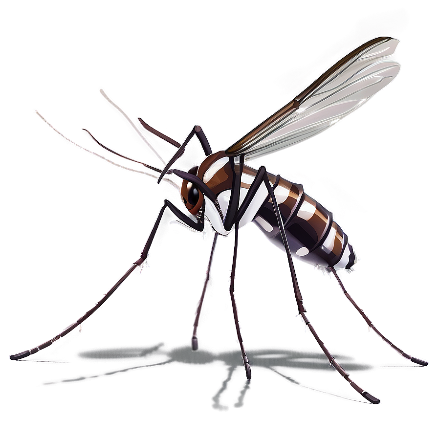 Aedes Mosquito Png 05242024