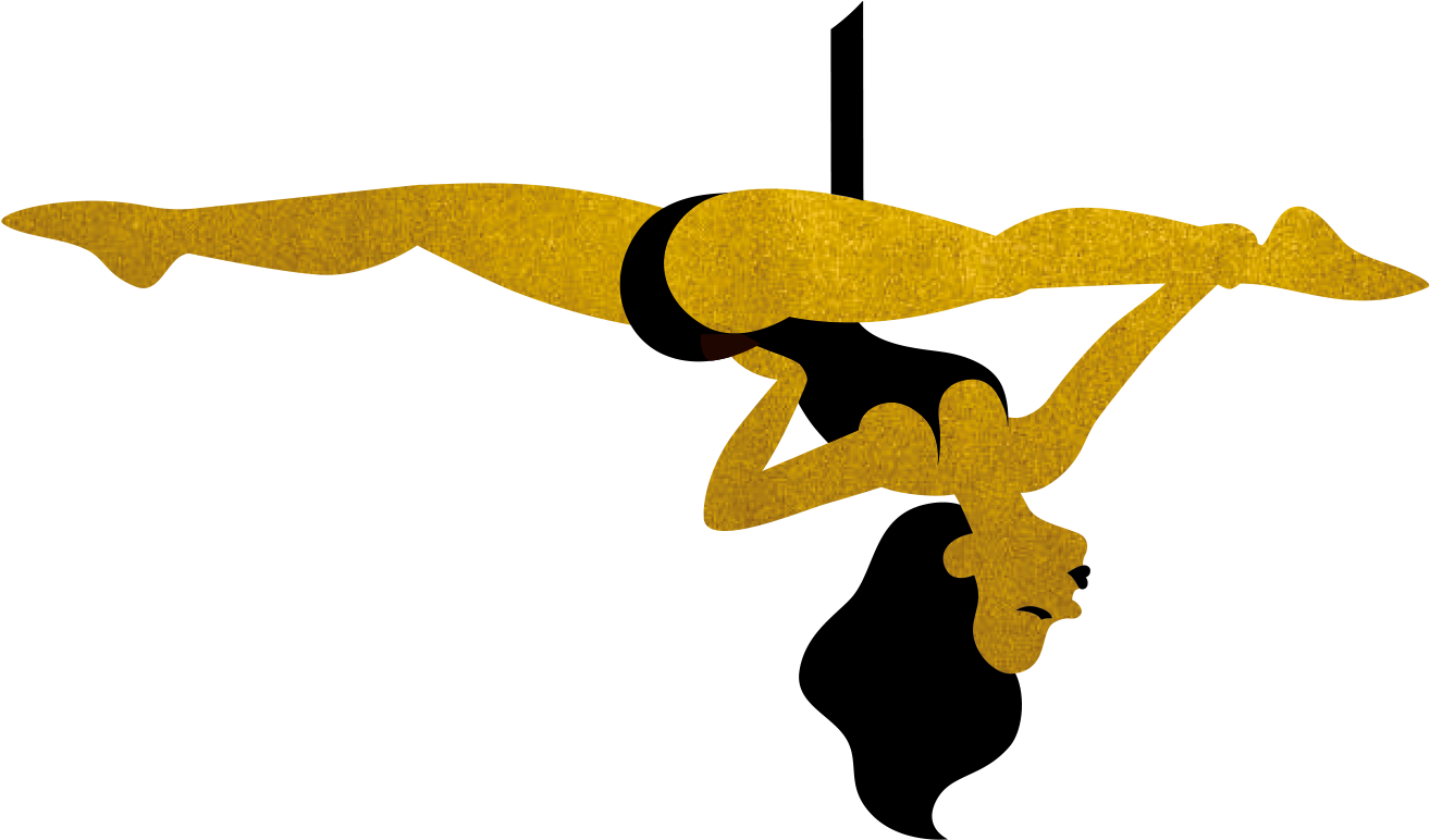 Aerial Dancer Silhouette Golden Costume