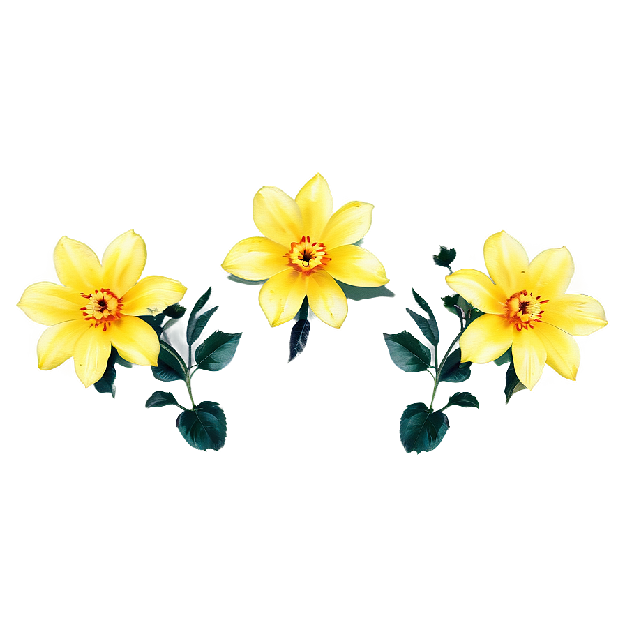 Aesthetic Yellow Flowers Png 06122024