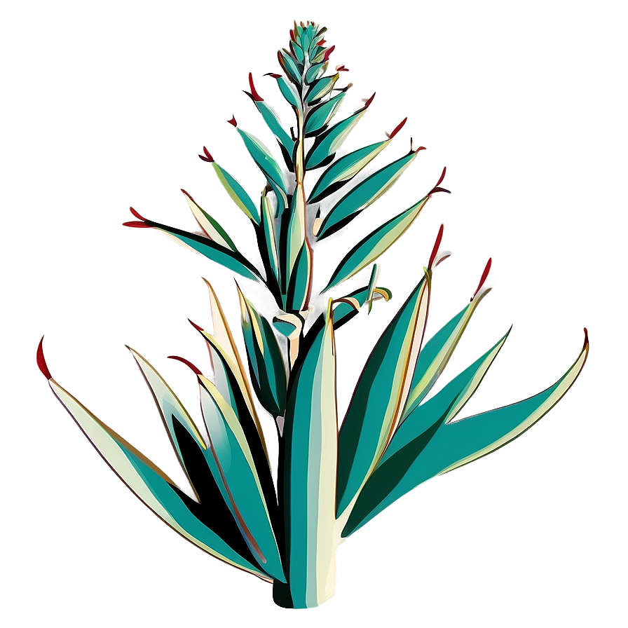 Agave Vector Art Png 59