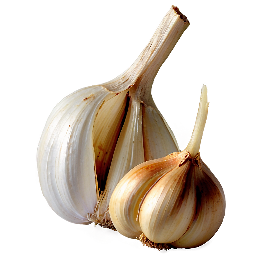 Aged Garlic Png 19