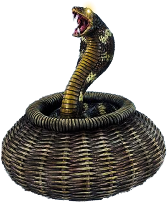 Aggressive Cobrain Basket