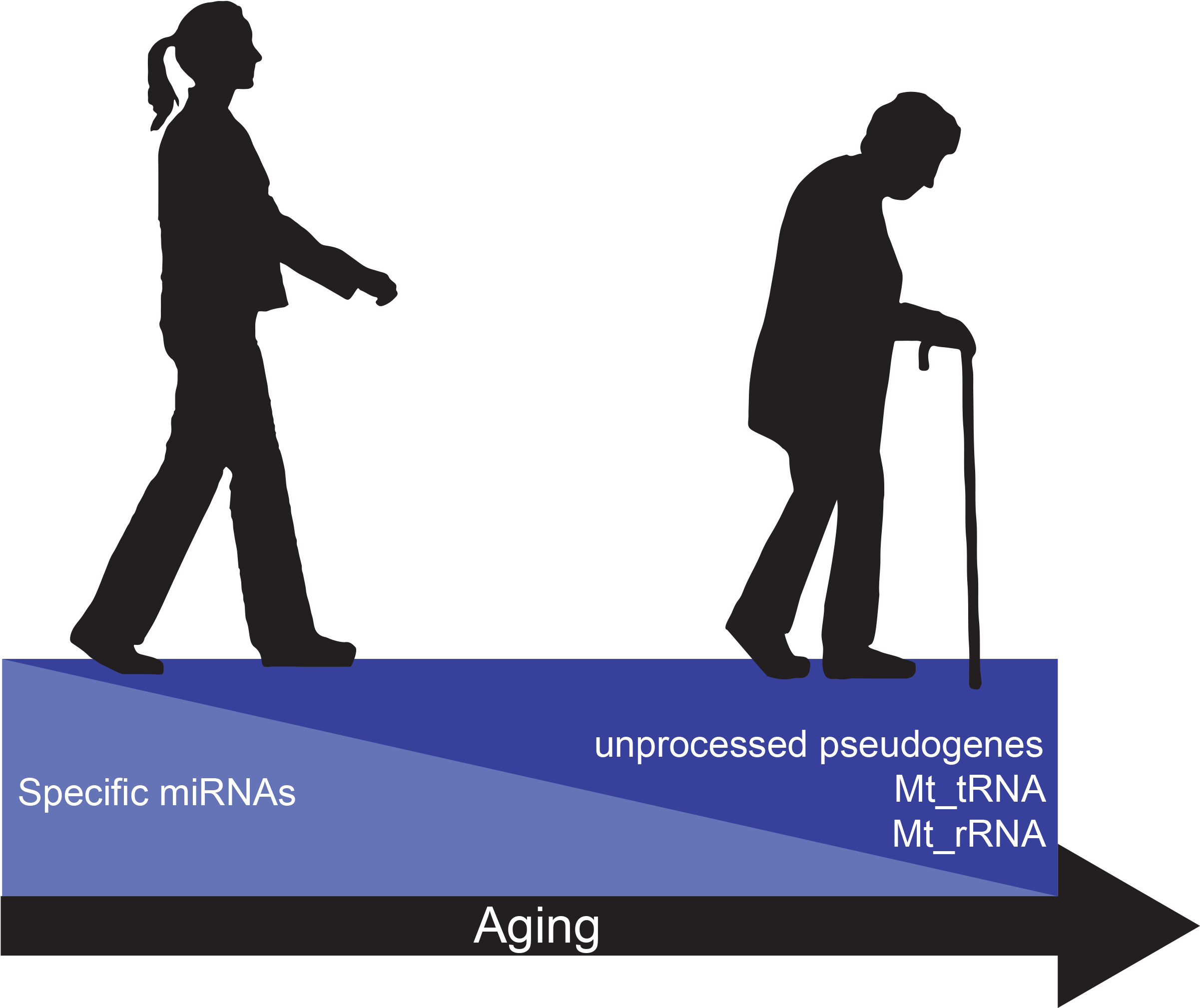 Aging Process Silhouette Graphic