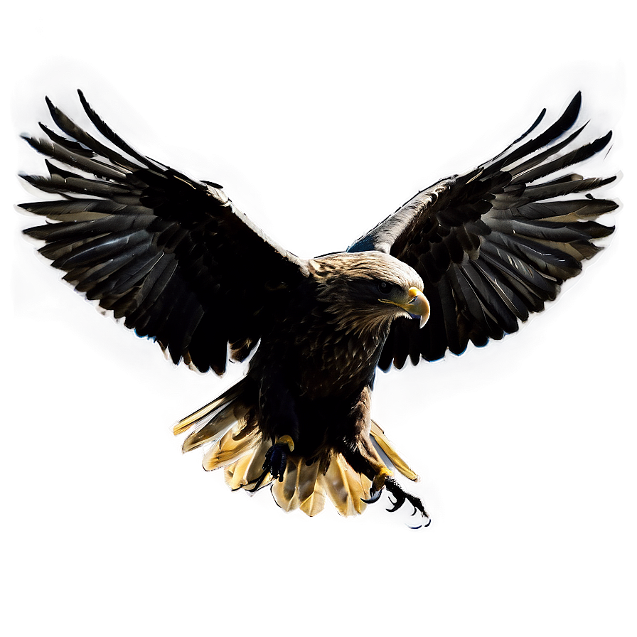 Aguila Silhouette Png 06252024