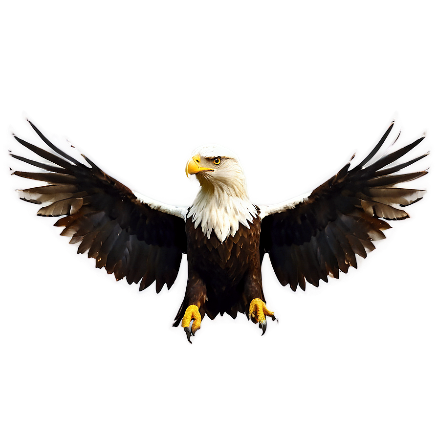 Aguila Wallpaper Png 06252024