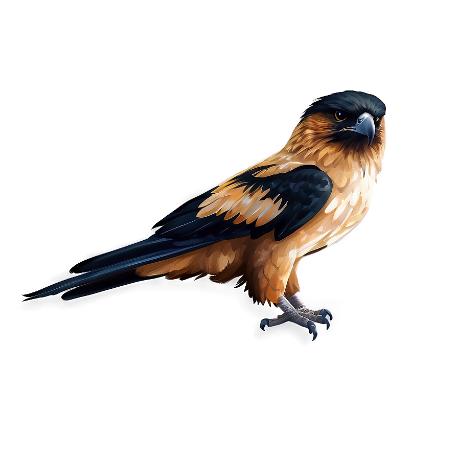 Aguila Watercolor Png Qsn