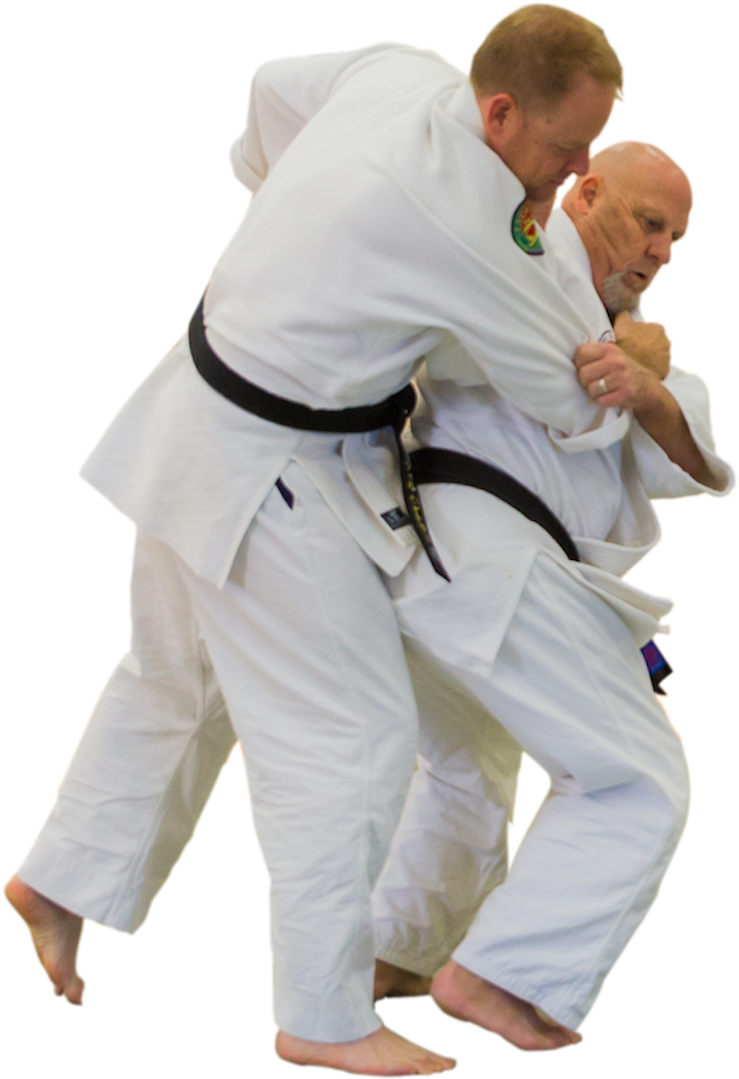 Aikido Technique Demonstration