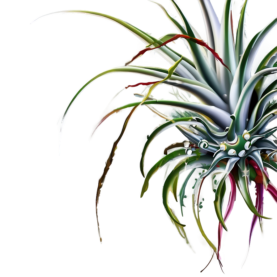 Air Plant Clipart Png Kgs