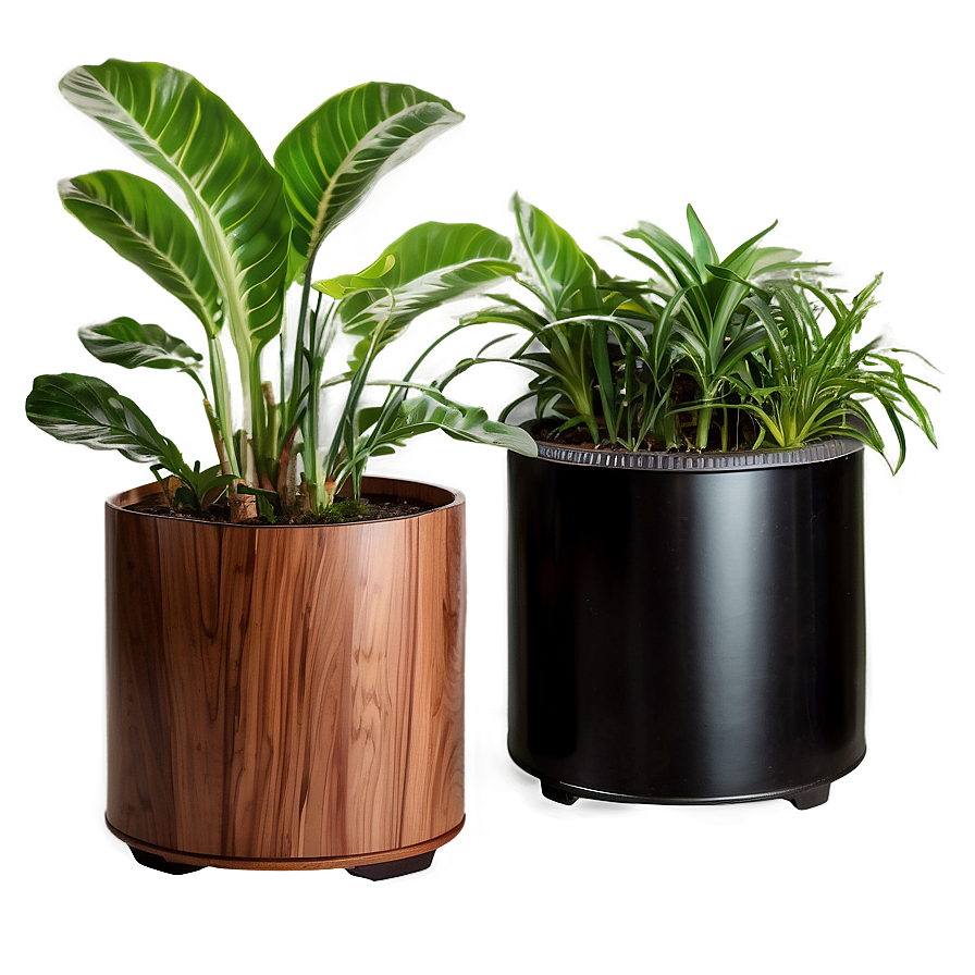 Air Purifying Plants Png 59