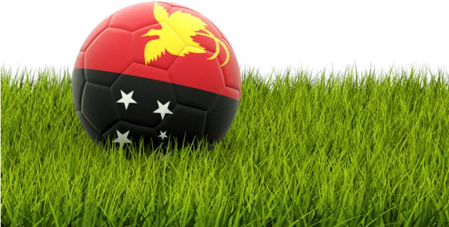 Albanian Flag Footballon Grass