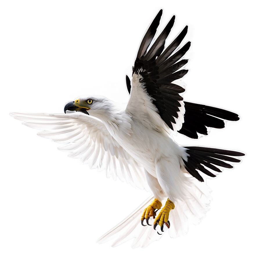 Albedo In Flight Png 06272024