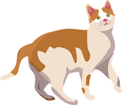 Alert Calico Cat Illustration