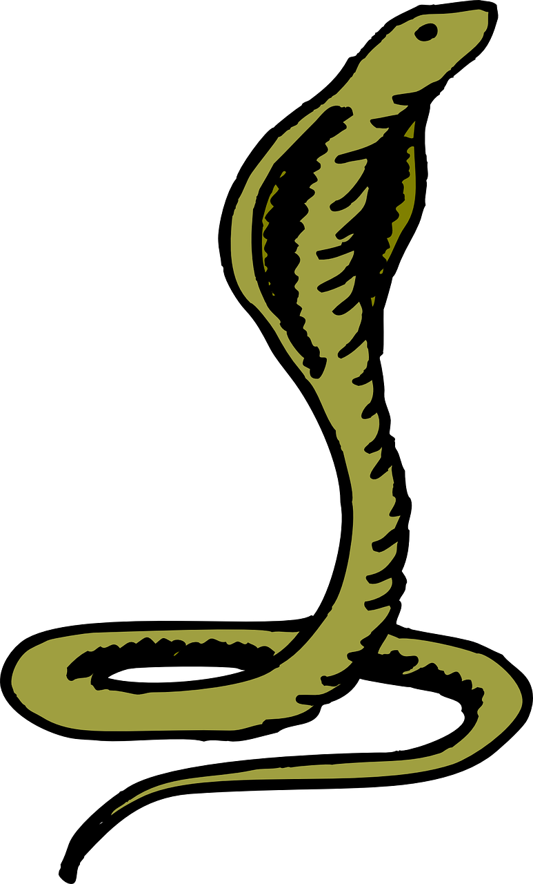 Alert Cobra Illustration