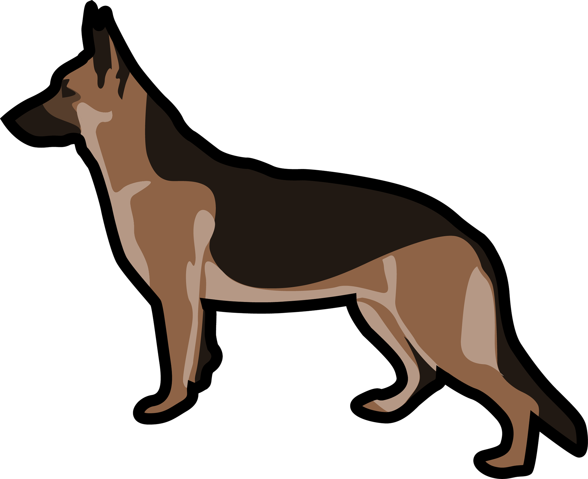 Alert German Shepherd Profile