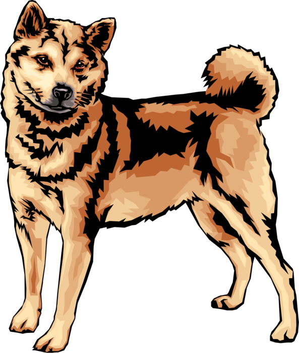 Alert Shiba Inu Illustration.png