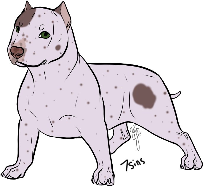 Alert White Pitbull Illustration