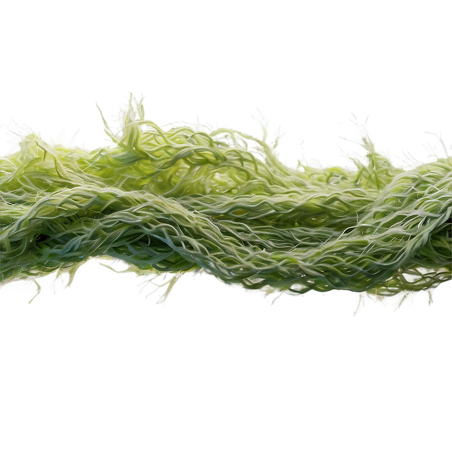 Algae-based Textile Fiber Png 13