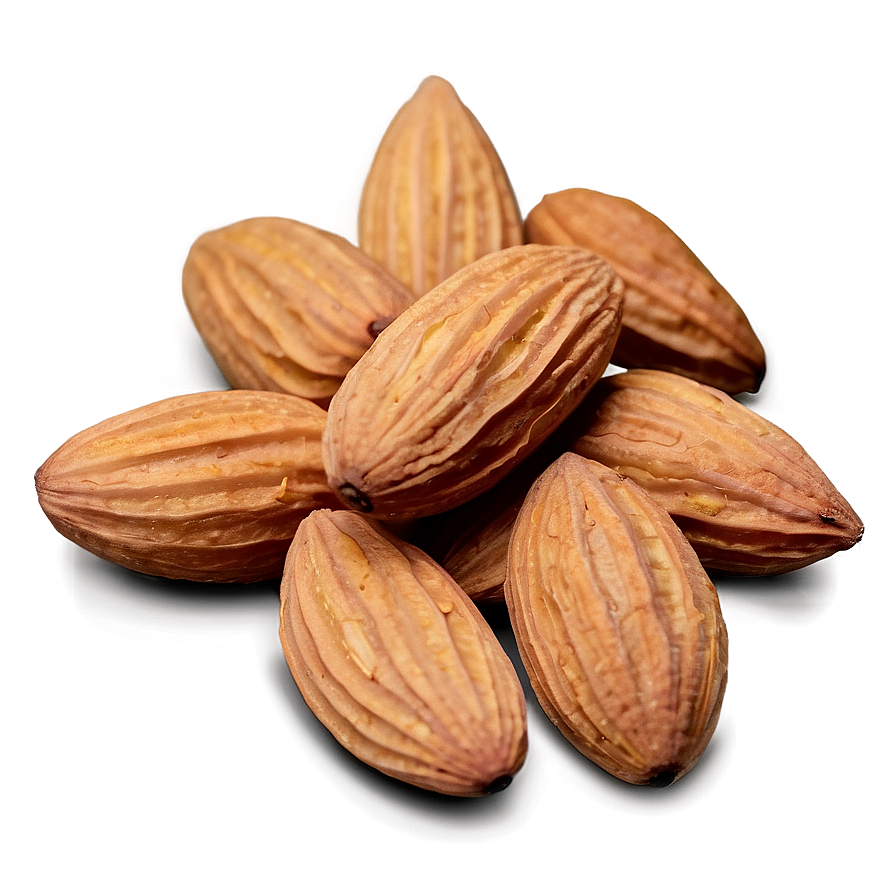 Almond Collection Png 05242024