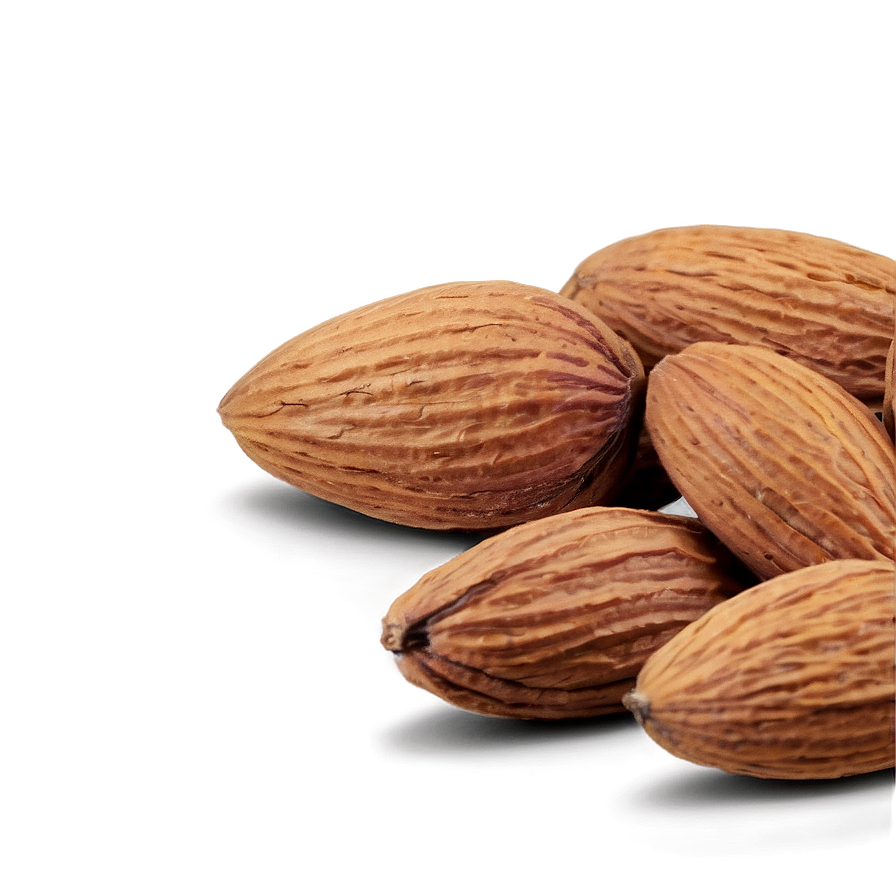 Almond Nut Png 43