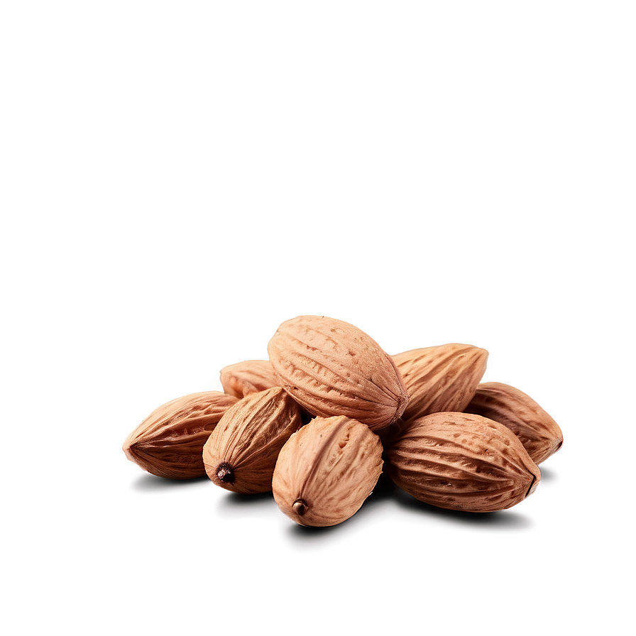 Almond Nut Png 48