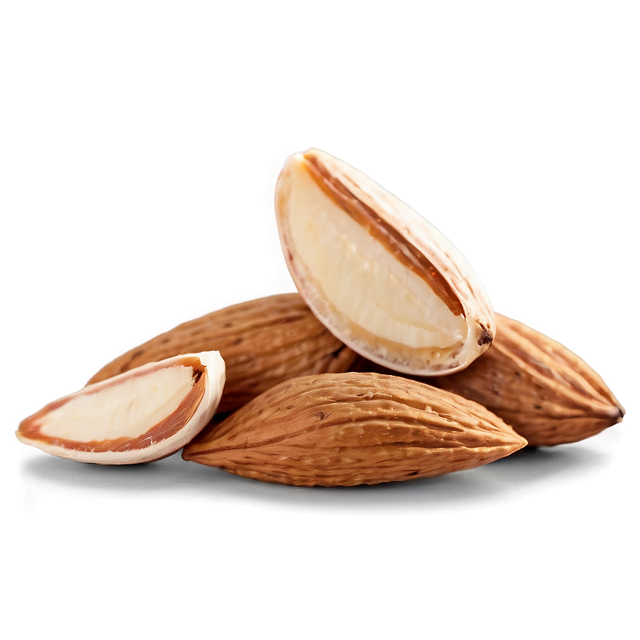 Almond Piece Png Yxi