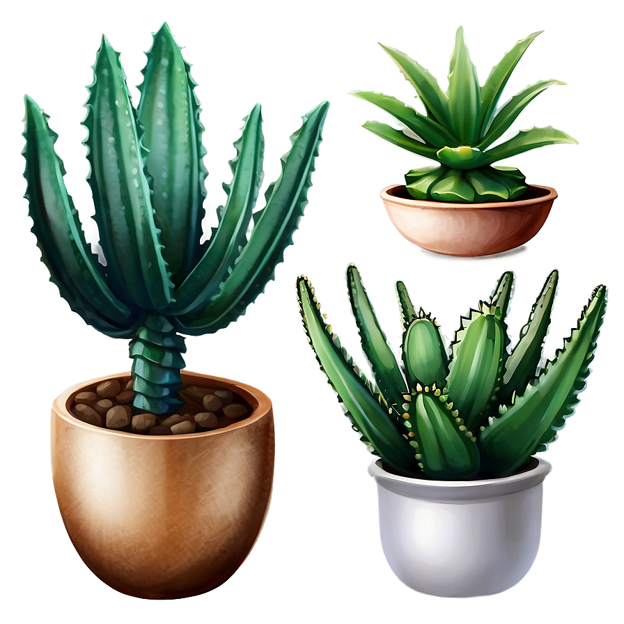 Aloe And Other Succulents Png Vdt81