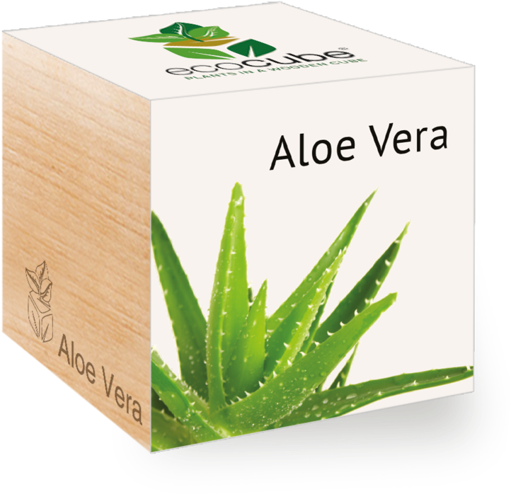 Aloe Vera Eco Cubes Packaging