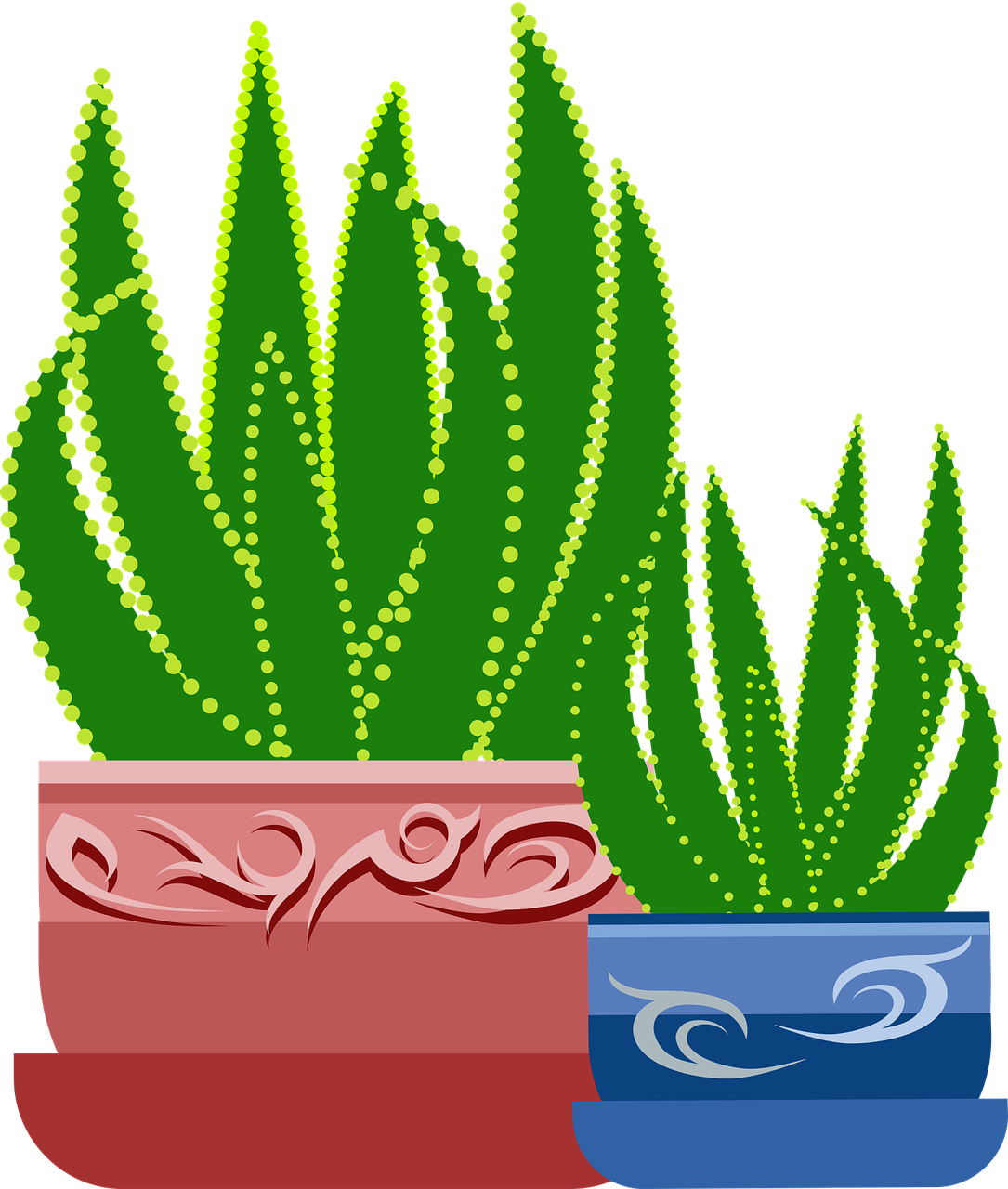 Aloe Vera Plantsin Decorative Pots