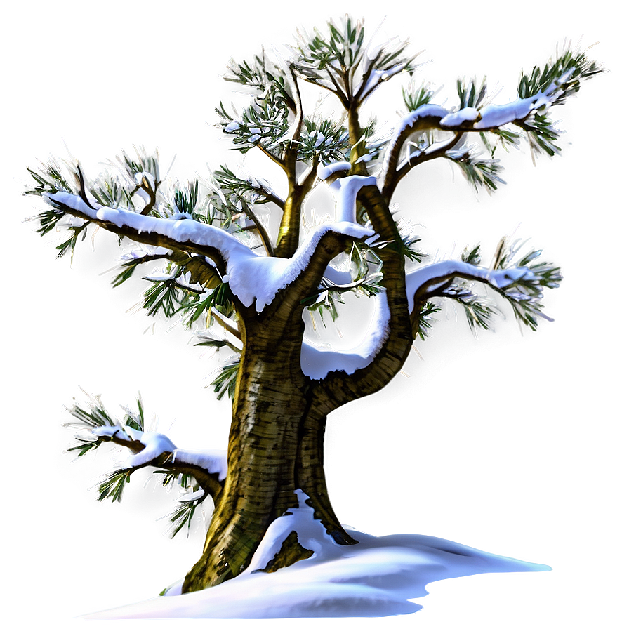 Alpine Snow Tree Png 06212024