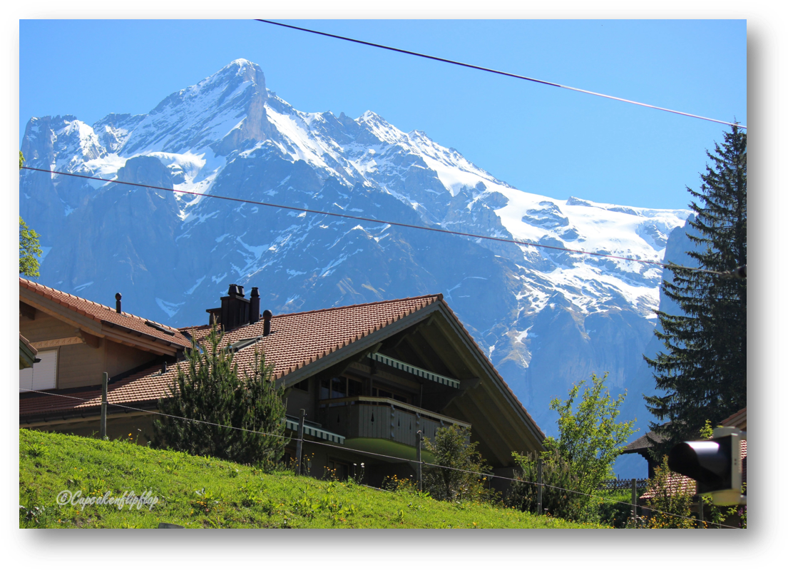 Alpine_ Summit_ Behind_ Chalet