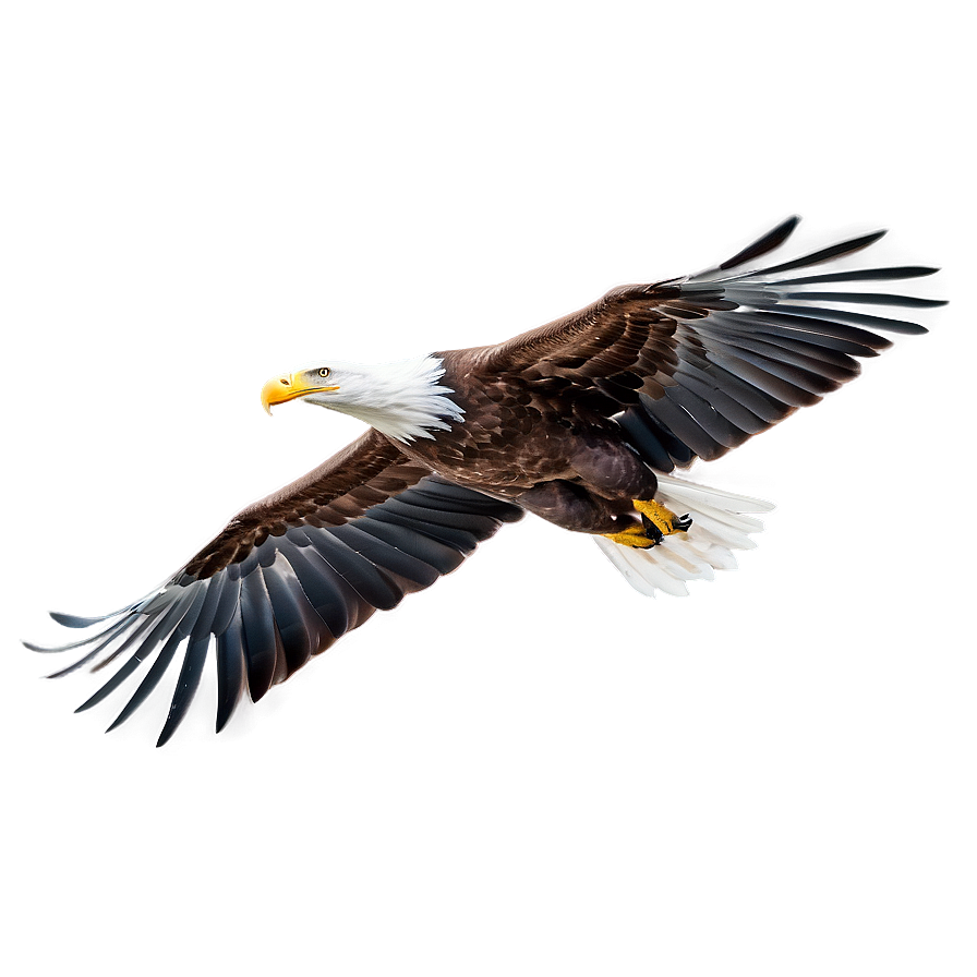 American Eagle In Flight Png 21