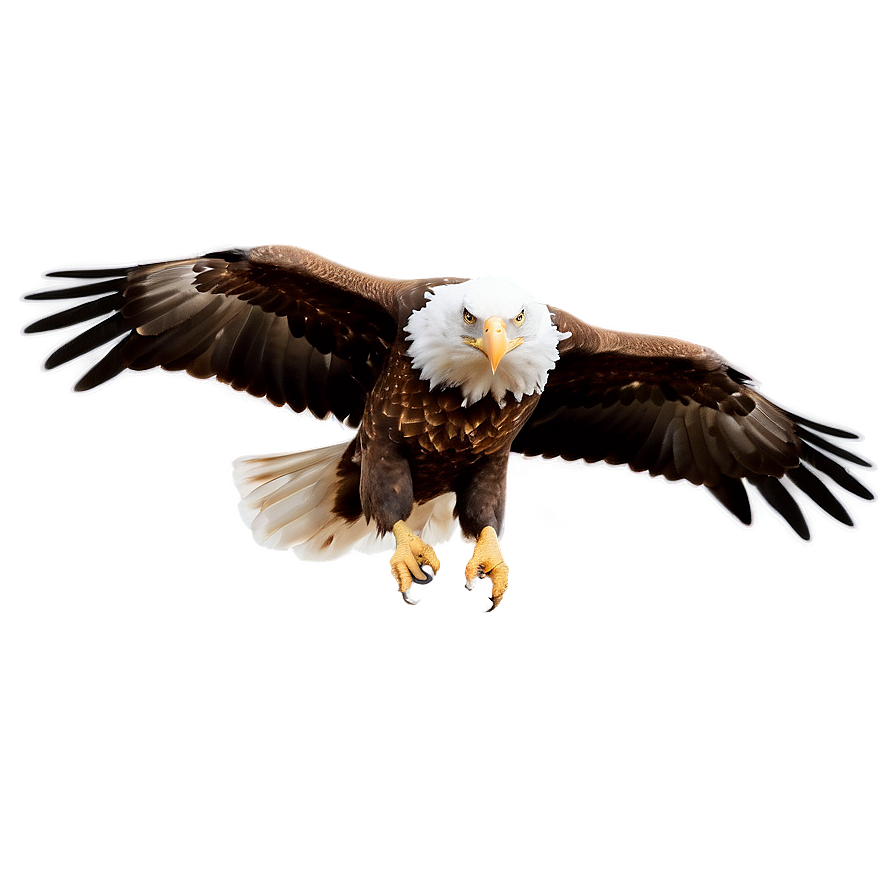 American Eagle In Sky Png 06122024