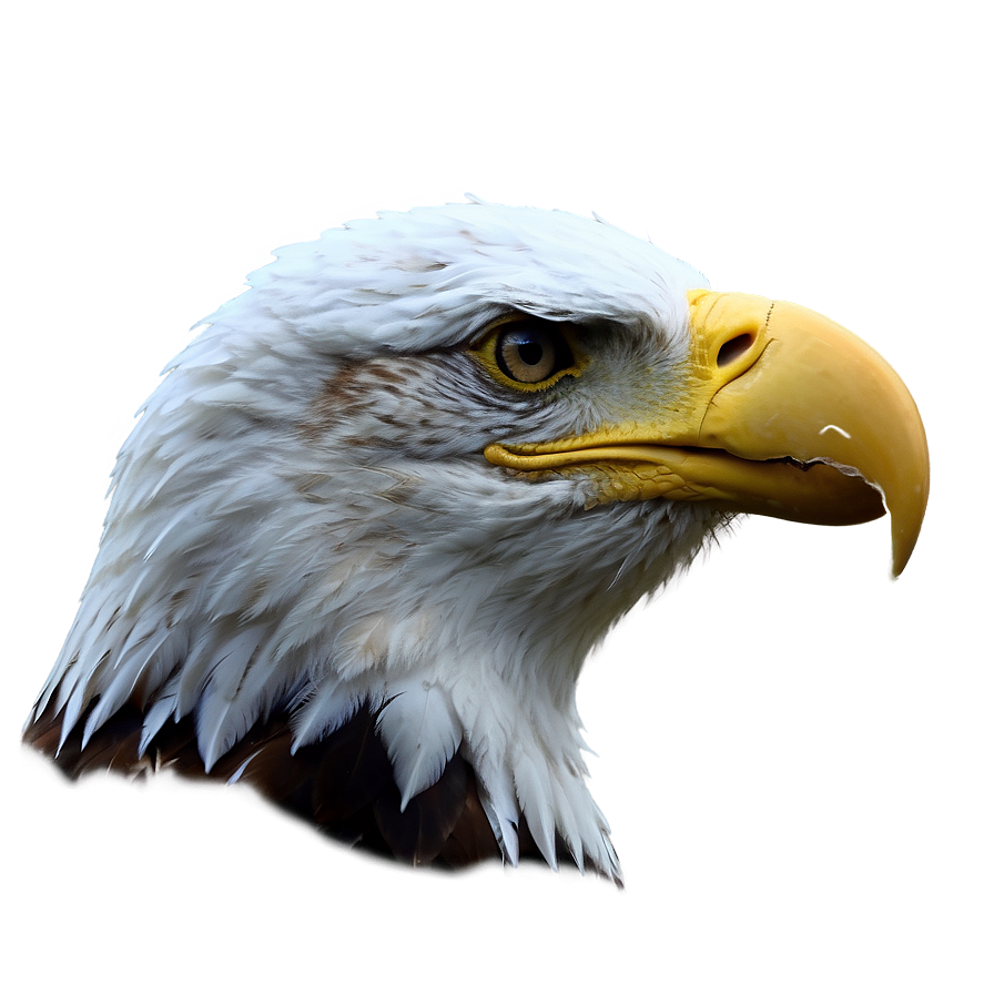 American Eagle Portrait Png Vvt