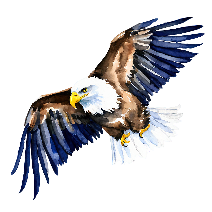 American Eagle Watercolor Png 84