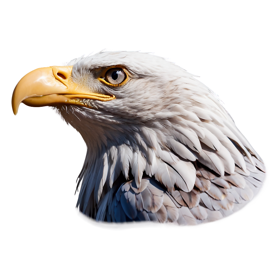 American Eagle With Clouds Png 82