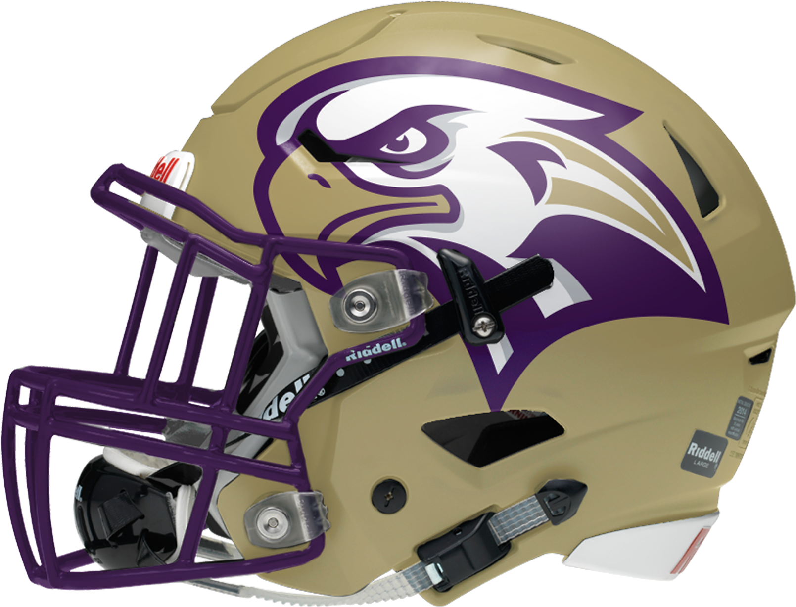 American Football Helmetwith Eagle Design