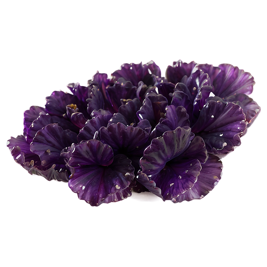 Amethyst Bloom Png 15