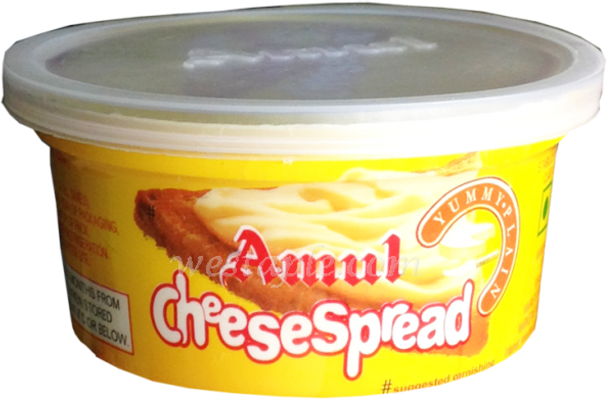 Amul Cheese Spread Container