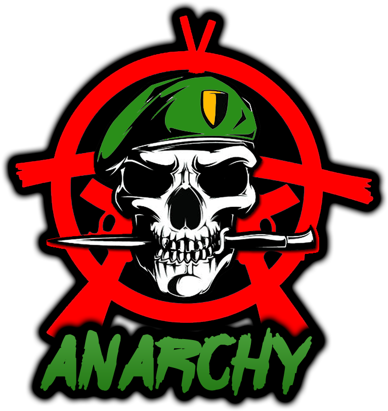 Anarchy Skullwith Beret